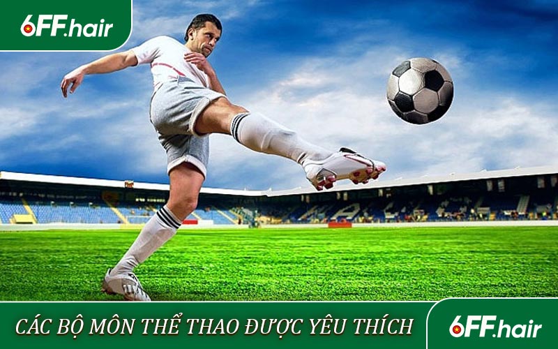 Bộ môn Thể thao 6FF đang được yêu thích nhất