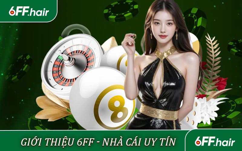 Thông tin Giới thiệu 6FF