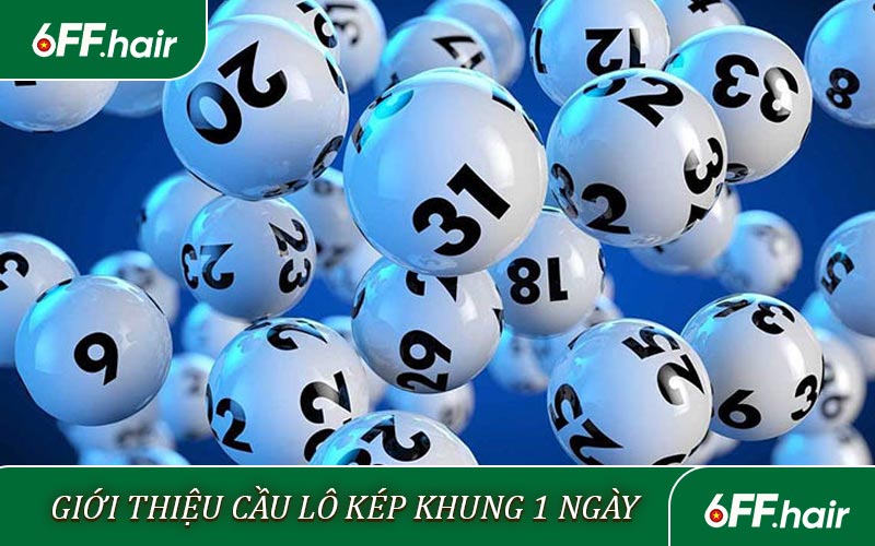 Giới thiệu về cầu lô kép khung 1 ngày