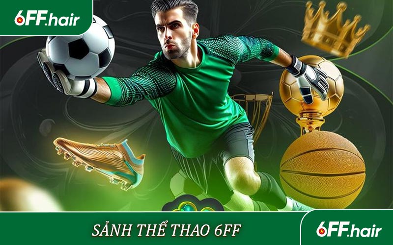 Thể Thao 6FF - Giao diện thiết kế hiện đại